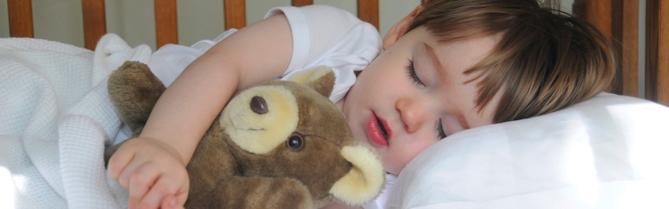 Little boy sleeping with teddy bear